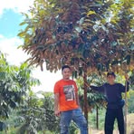 Profile Picture of Daniel Masing (@Daniel-Masing) on Facebook