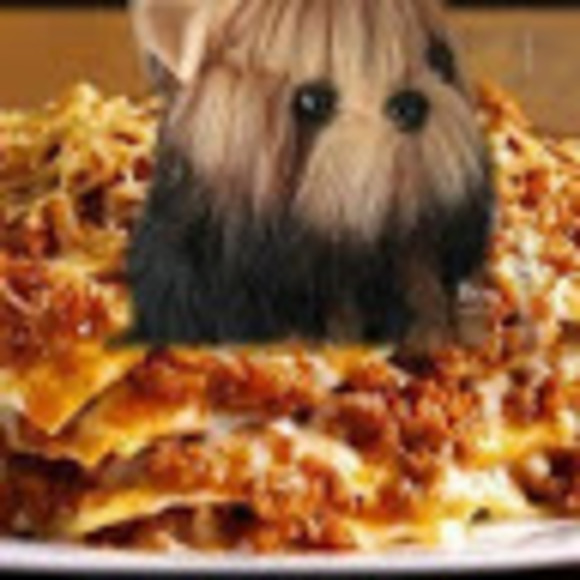 Profile Picture of Bitch Lasagna (@bitch_l) on Poshmark