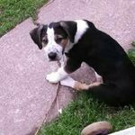 Profile Picture of John Swoboda (@yohanvonpretzels) on Instagram