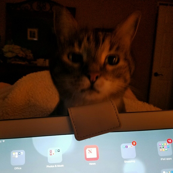 Profile Picture of Jeana Cuttill (@jeanacuttill) on Poshmark