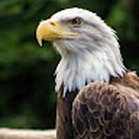 Profile Picture of Matthew Hallman (@matthew-hallman-22) on Quora