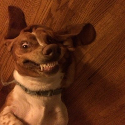 Profile Picture of Adam Roach (@AlecEiffel631) on Twitter