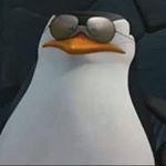 Profile Picture of Ian McLellan (@commander_elvis) on Instagram