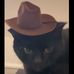 Profile Picture of Joshua Brady (@joshua.brady.547) on Facebook