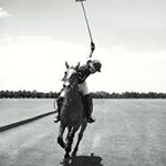 Profile Picture of Sebastian Gauthier (@sab_dc4l) on Instagram