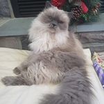 Profile Picture of Kim Teel Heyer (@kim.heyer.946) on Instagram