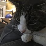 Profile Picture of Patrick Dickenson (@pdickenson04) on Instagram