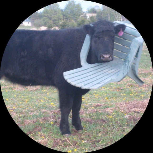 Profile Picture of Candence Renals (@jbreagel_06) on Poshmark