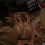 Profile Picture of Joshua Templeton (@templeton5464) on Instagram