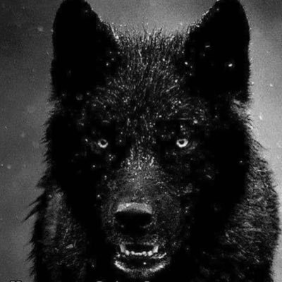 Profile Picture of Jeremiah McLaughlin (@JeremiahMcLaug9) on Twitter