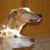 Profile Picture of Geoff Collins (@geoff.collins.1829) on Facebook