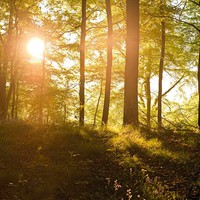 Profile Picture of Cassie Glenn (@cassie-glenn-3) on Quora