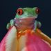 Profile Picture of Ken Pearce (@ken.pearce.3532) on Facebook