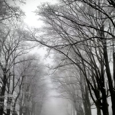 Profile Picture of Michele Leck (@MicheleLeck) on Twitter