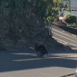 Profile Picture of Benjamin Kowalchuk (@benjamin.kowalchuk) on Instagram