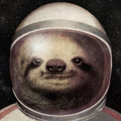 Profile Picture of Michael Skowron (@MichaelSkowron6) on Twitter