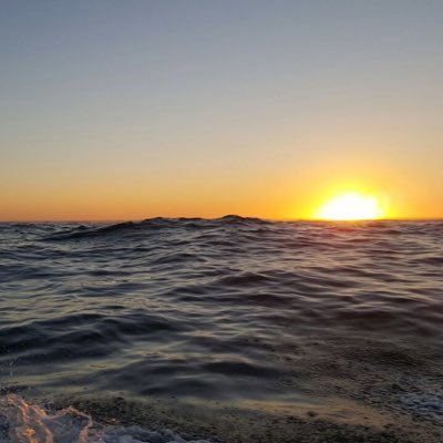 Profile Picture of Pedro Matus (@pedromatus) on Twitter