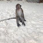 Profile Picture of Джердж (@dzherdzh6728) on Instagram