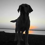 Profile Picture of Kyle Beers (@youretooclose33) on Instagram