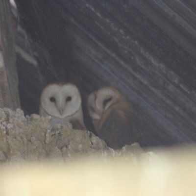 Martin Bray - Twitter Profile Picture of Martin Bray (@MartinB93283042) on Twitter