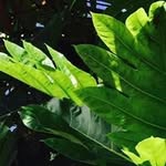 Profile Picture of Robert Mansfield (@mansfield.robert) on Instagram