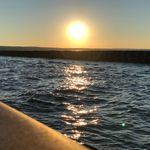 Profile Picture of Robert Lapeer (@robert.lapeer) on Instagram