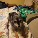 Profile Picture of Krista Caputo (@KristaRMcDowell) on Facebook