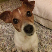 Profile Picture of Jean Downs (@jeandowns2021) on Youtube