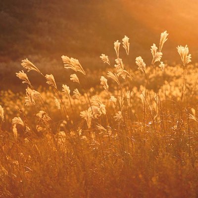 Profile Picture of Tom Yoon (@ytsyts77) on Twitter