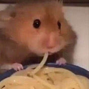 Kylie Hurst - Youtube Profile Picture of Kylie Hurst (@kyliehurst5970) on Youtube