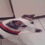 Profile Picture of james (@andym.macaskill80) on Instagram