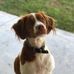 Profile Picture of Michael Pridgen (@michael.pridgen.79) on Facebook