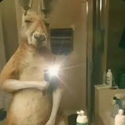 Profile Picture of Ivan Serrano (@ivanserrano8755) on Youtube