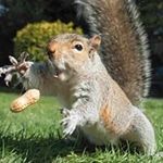 Profile Picture of Matthew Broman (@bromanste) on Instagram