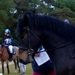 Profile Picture of Gemma and william jumping (@gemma_and_william_jumping) on Instagram