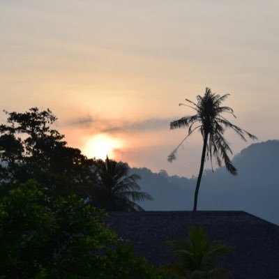 Profile Picture of David Griffiths (@davidpgriffiths) on Twitter