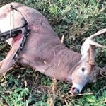 Profile Picture of caleb allen larson (@caleb_larson13) on Instagram