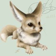 Profile Picture of Logan Wilson (@loganwilson9022) on Pinterest