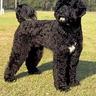 Profile Picture of Phyllis Thompson (@phyllis.thompson.315) on Facebook