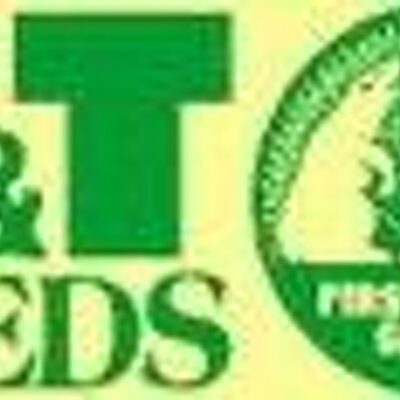 Kevin Twomey - Twitter Profile Picture of Kevin Twomey (@TTSeeds) on Twitter