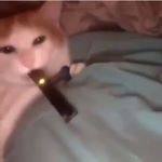 Profile Picture of Danny Arellano (@dannyadinosaur) on Instagram