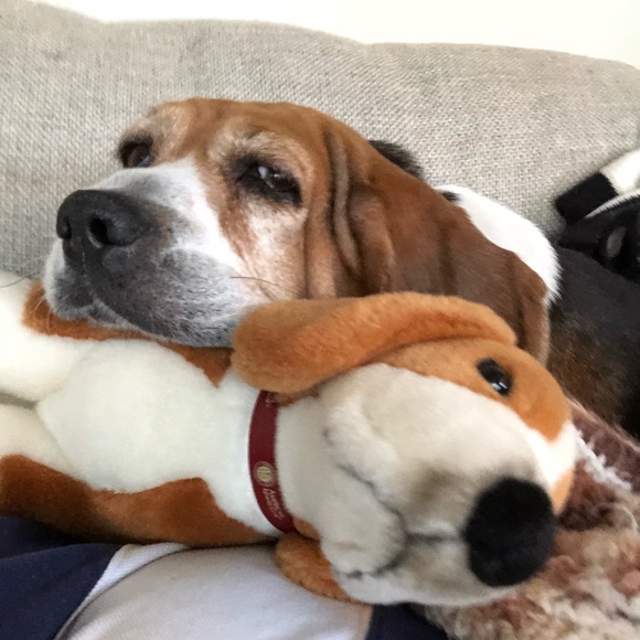 Profile Picture of Victoria Scordato (@vscordato) on Poshmark