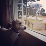 Profile Picture of Laney (@laney_robertson_spamz10) on Instagram