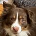 Profile Picture of Debbie Reddick (Blunt) (@debbie.reddick.10) on Facebook
