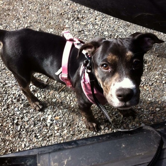 Profile Picture of Sam Archibald (@illfatedmaccaw) on Poshmark