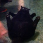 Profile Picture of yakubik.spb.ru (@yakubik_mila) on Instagram