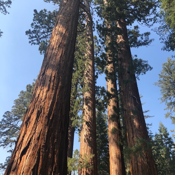 Profile Picture of Abby Mulick (@abbymlick) on Poshmark