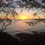 Mike Bento DeMotta - Instagram Profile Picture of Mike Bento DeMotta (@ntmike_saige) on Instagram