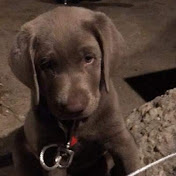 Profile Picture of Amanda Clatt (@rockatmyshow) on Youtube