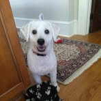 Profile Picture of Raymond Weitzel (@Raymond-Weitzel) on Facebook